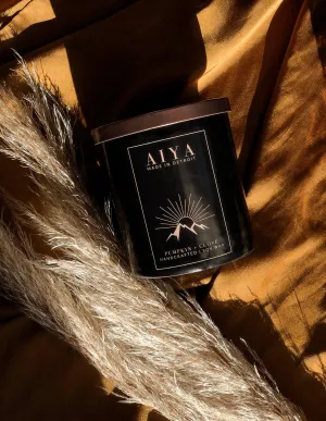 AIYA Pumpkin   Clove