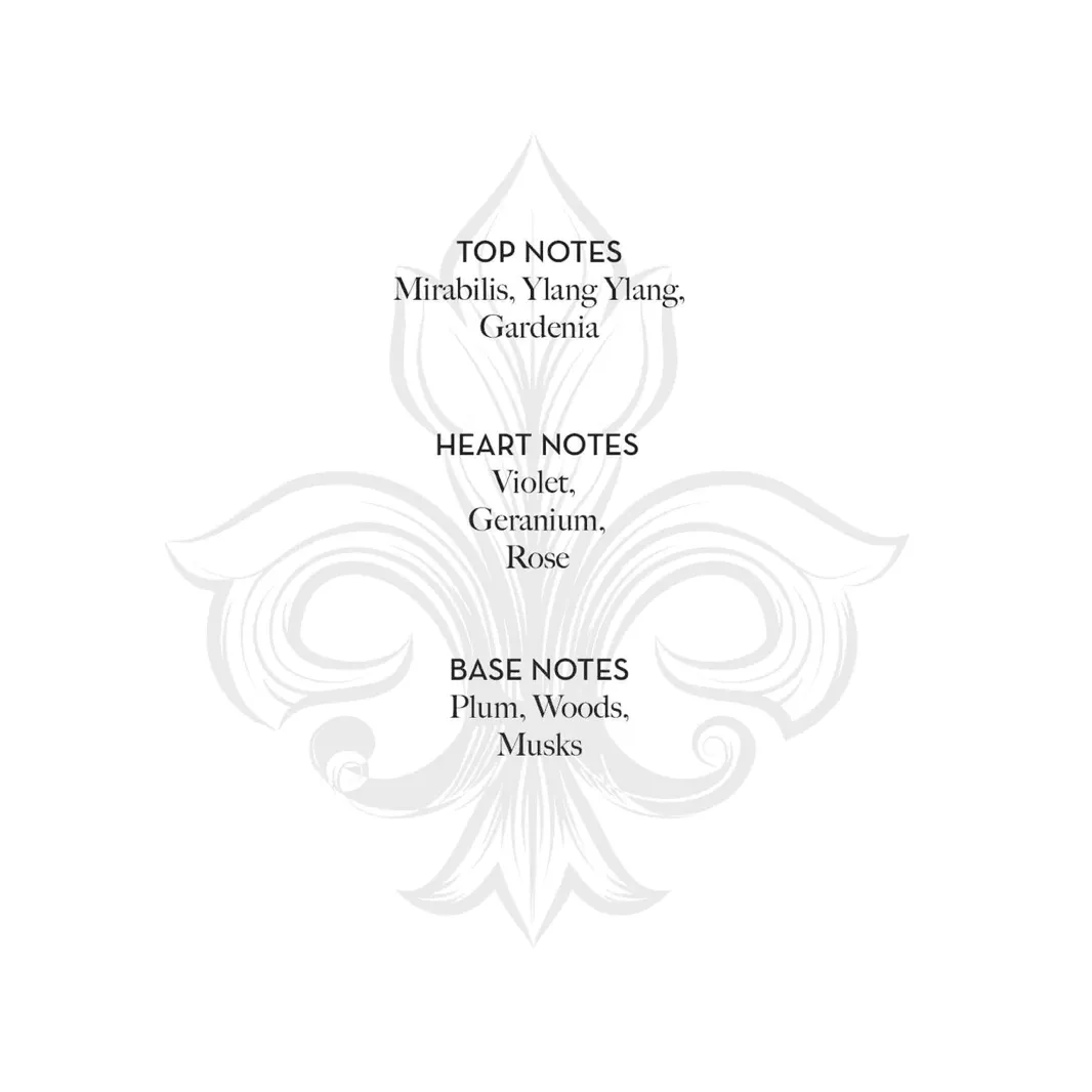 Belle de Nuit EDP | 50ml