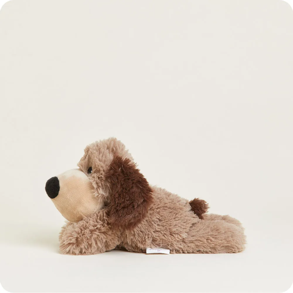 Brown Dog Warmies Junior