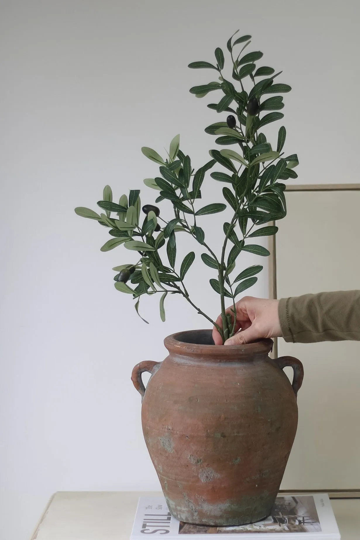 Faux Olive Spray