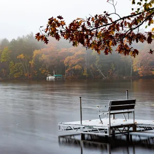 Lakeside Morning Fragrance Oil - BBW Type