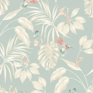 OHPOPSI | Hummingbird - Rich Duckegg