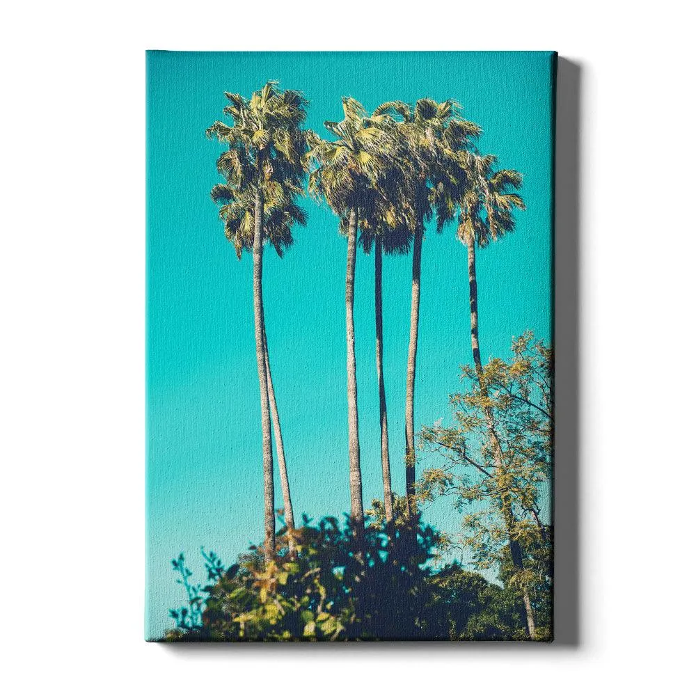 Tropical Dream