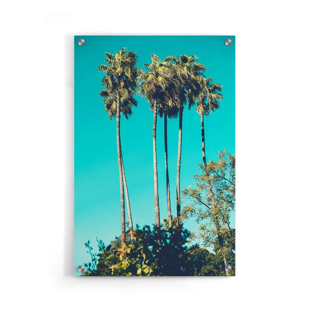 Tropical Dream