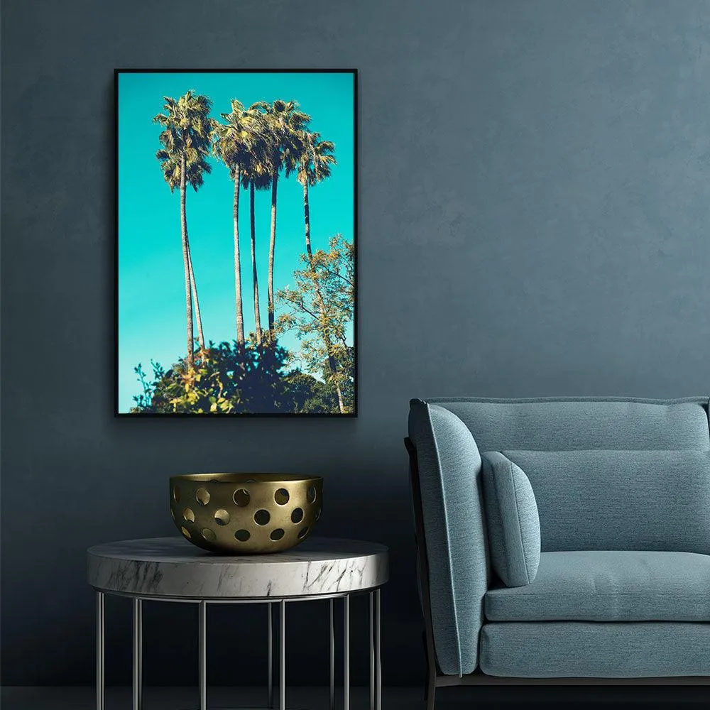 Tropical Dream
