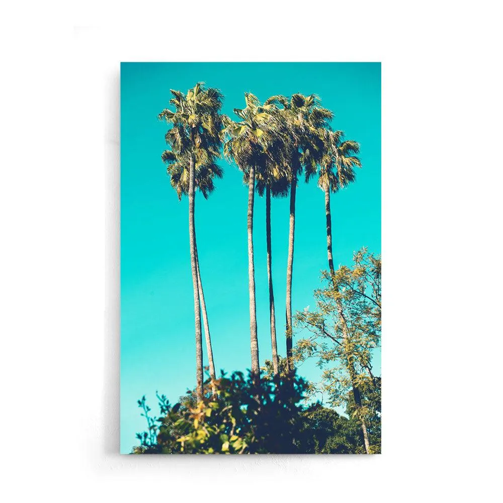 Tropical Dream
