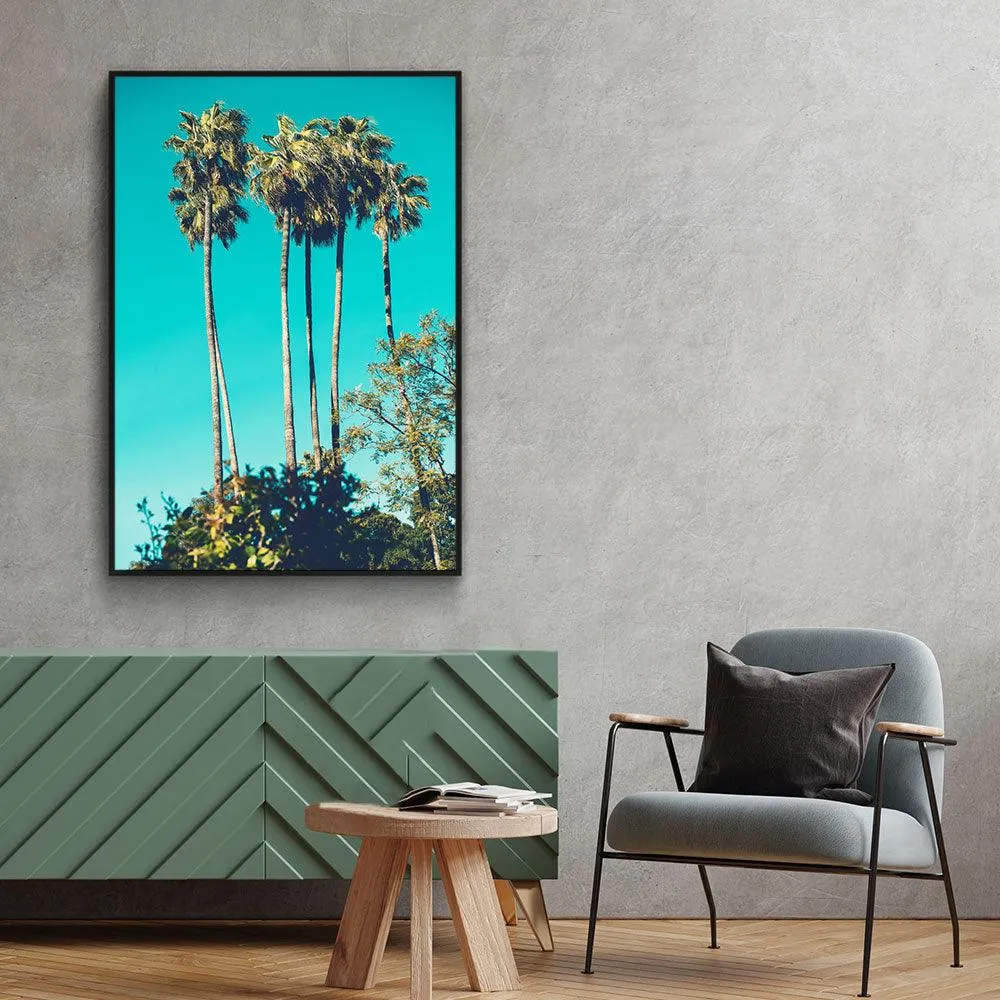 Tropical Dream