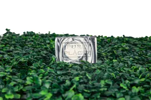 White Birch All Natural Soap Bars with Olive Oil